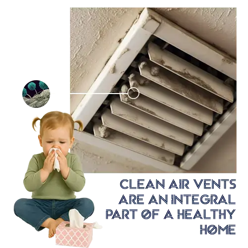 air vent mold inspection