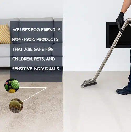 professional carpet cleaning